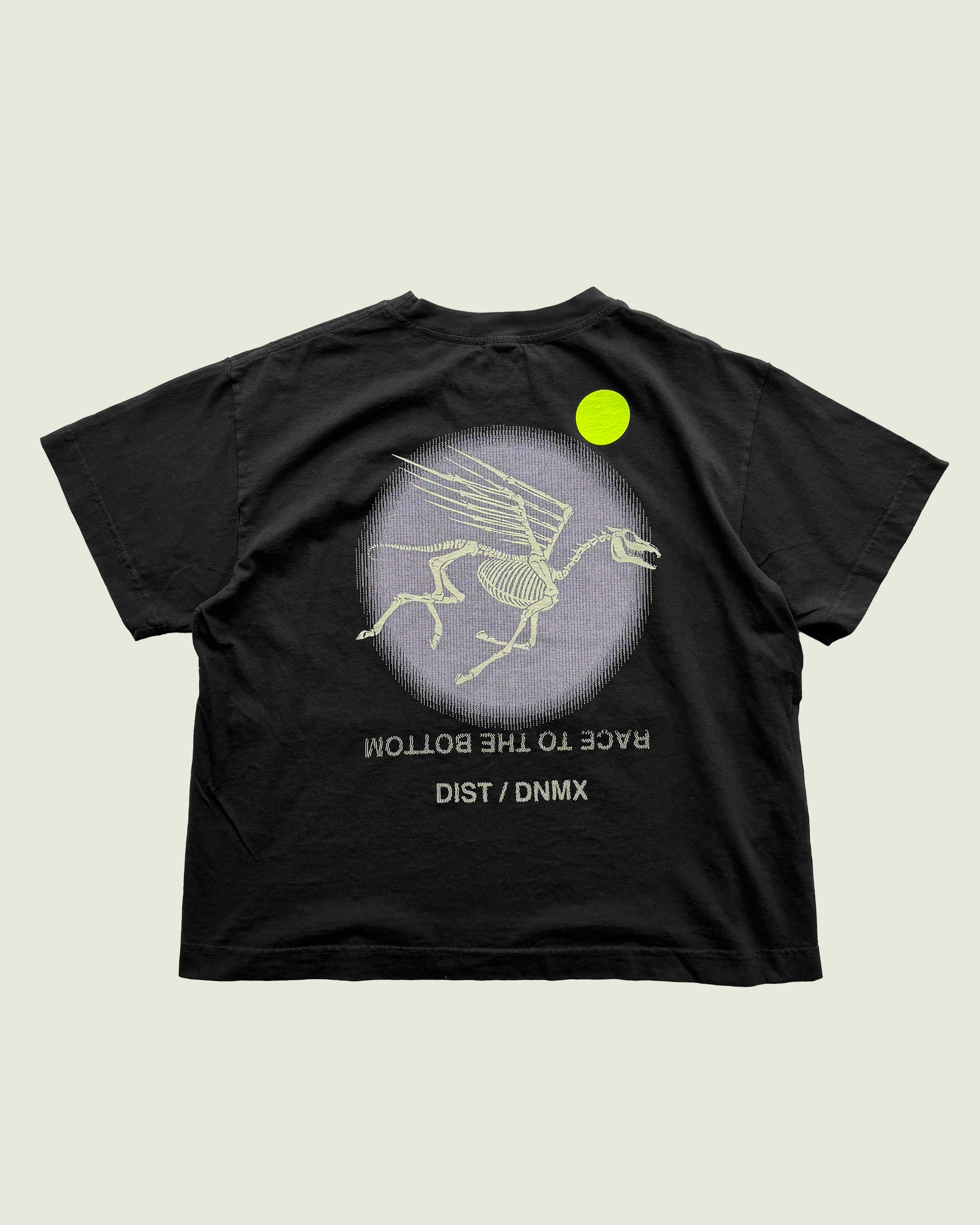 DIST / DNMX X SKULLPHONE "Pegasus" T in BLACK