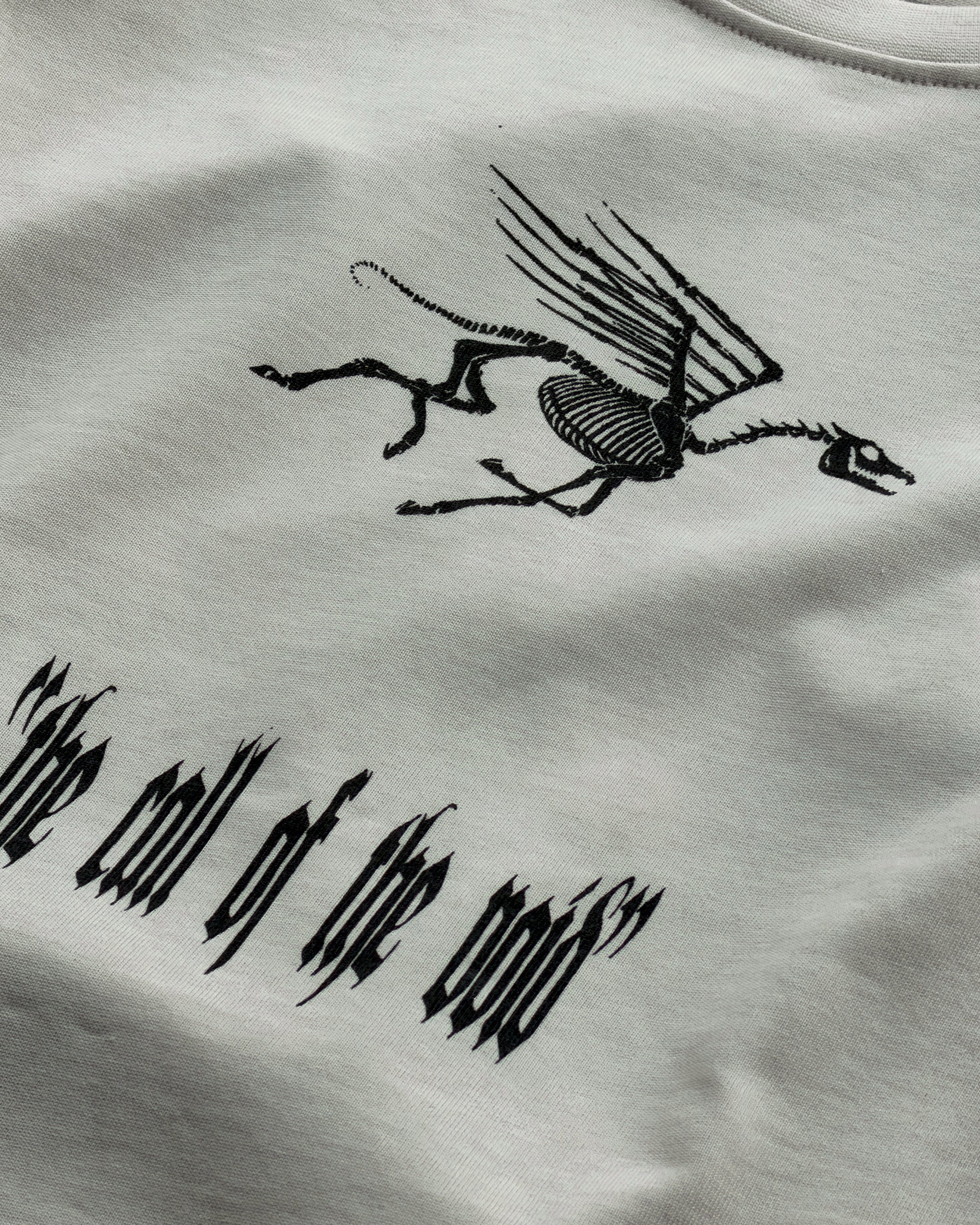 DIST / DNMX X SKULLPHONE "The Call of The Void" Long Sleeve T in BONE